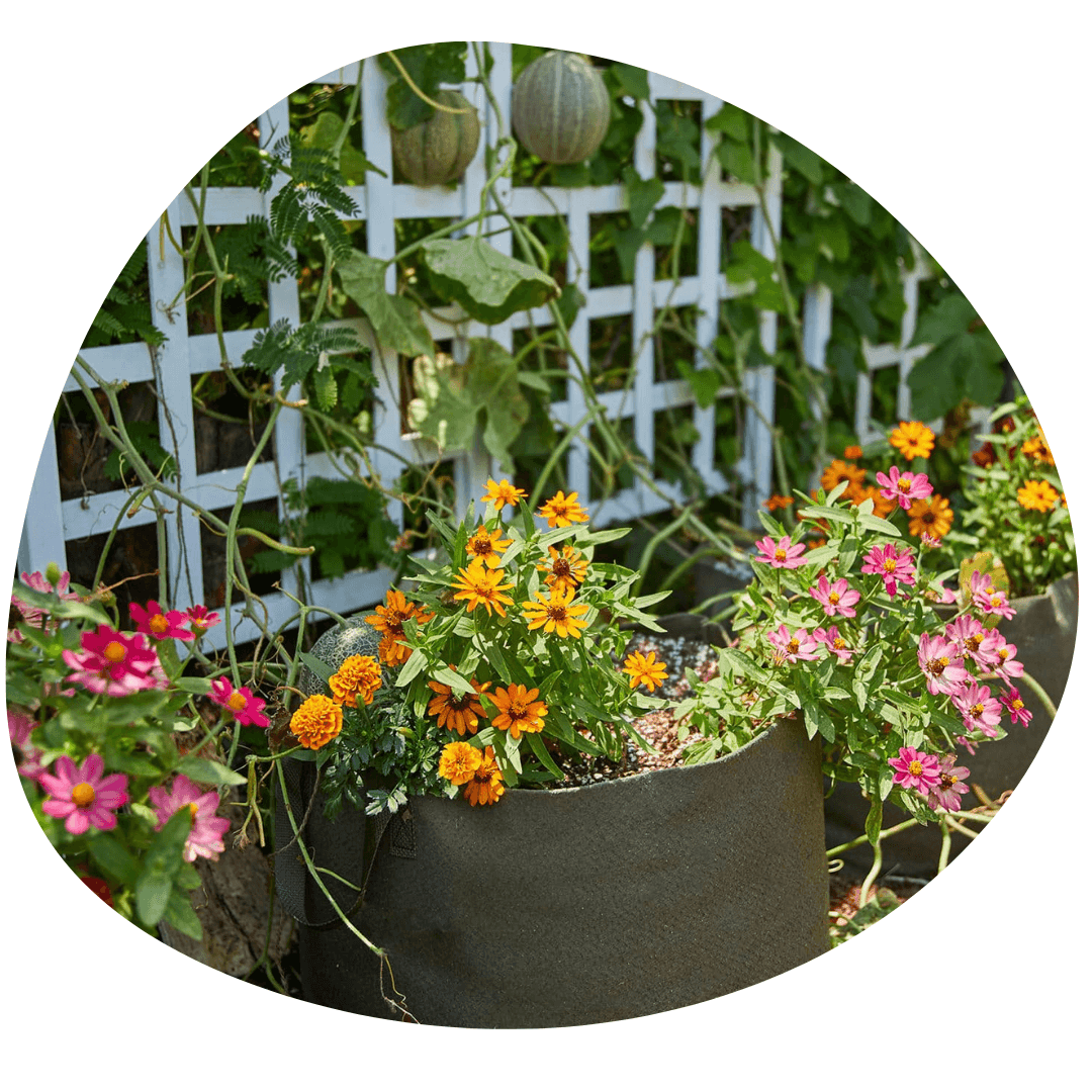 Smart pot fabric planter with flowers