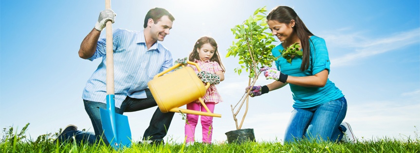 Proper Planting Techniques for Trees & Shrubs