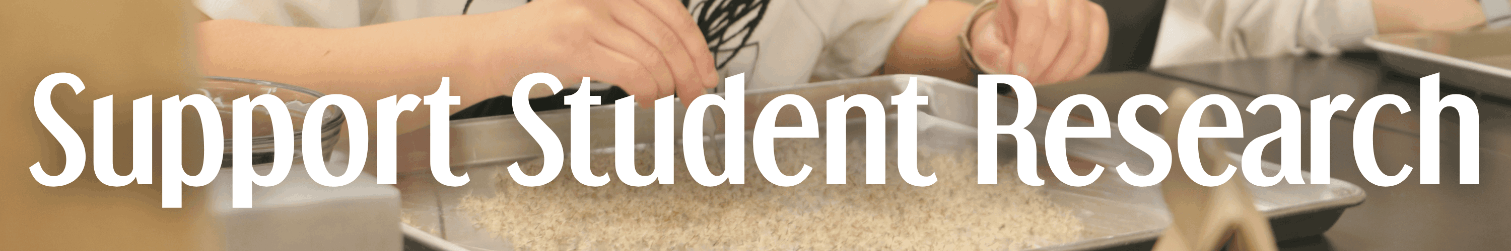 Support Student Research