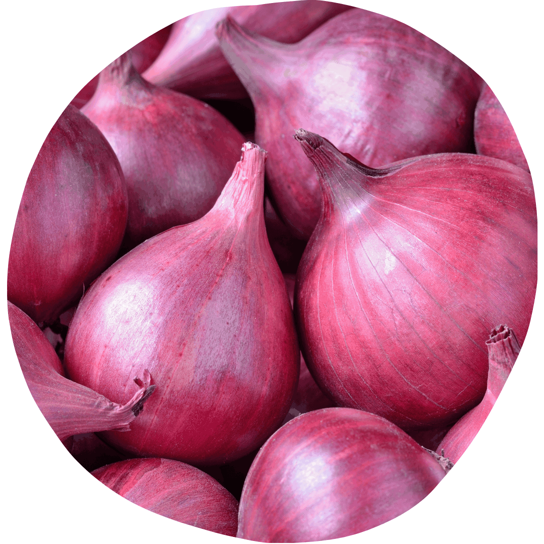 Red Onions